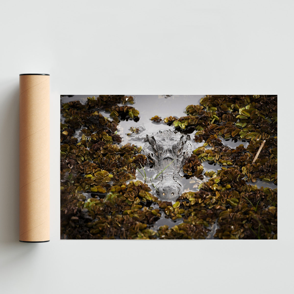 Yakare Camuflado - FotoH solo print