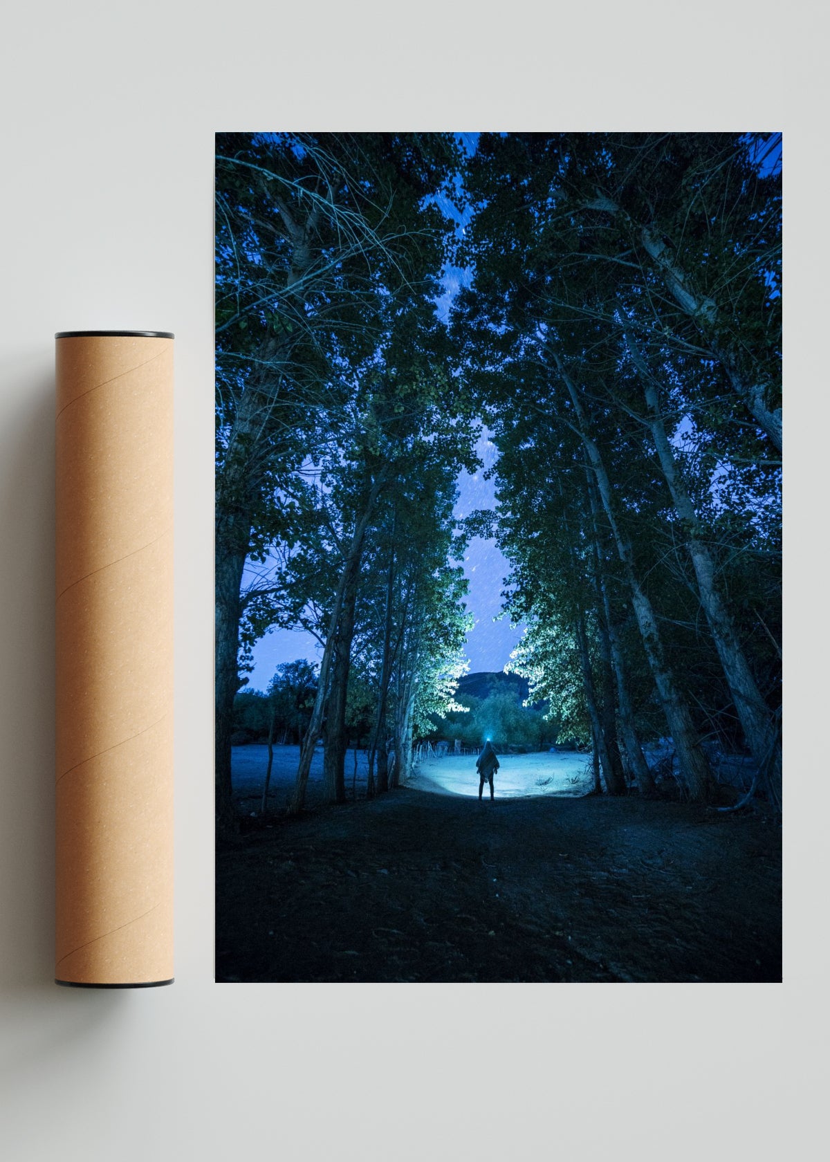 El Portal - FotoV Solo print