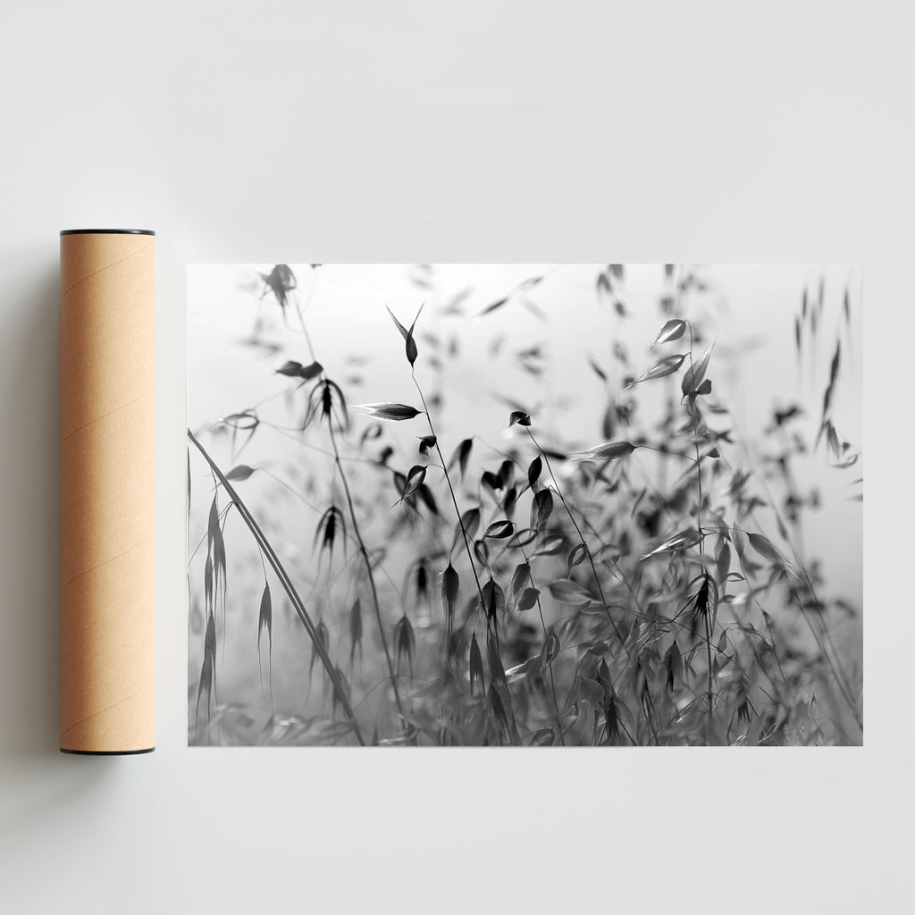 Gratitud a la vida. - Paisaje Solo print