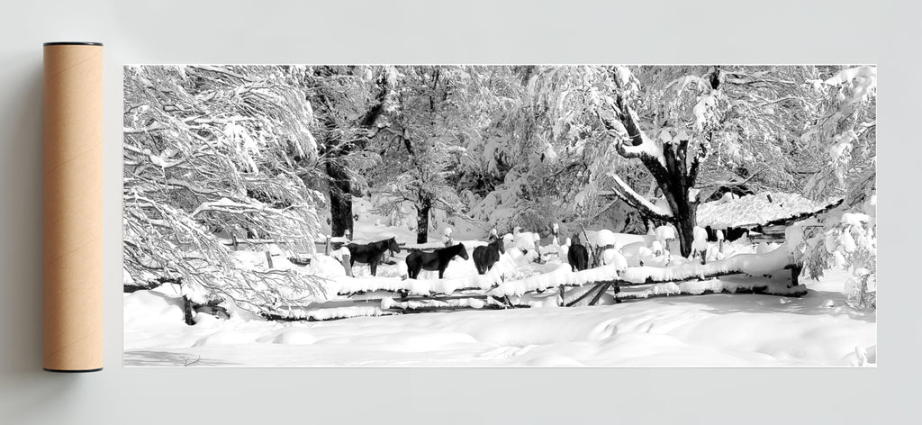 Nobleza en invierno. - Pano H Solo print