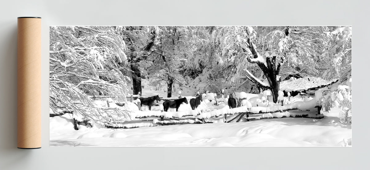 Nobleza en invierno. - Pano H Solo print