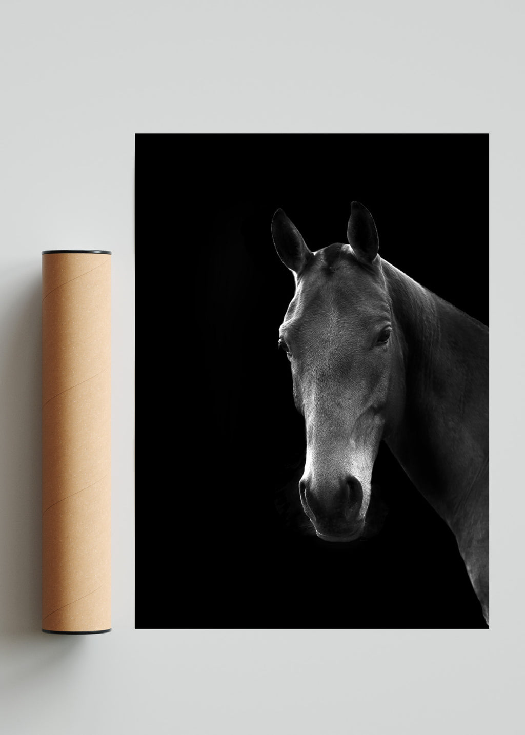 Mirada de un noble. - Retrato solo print