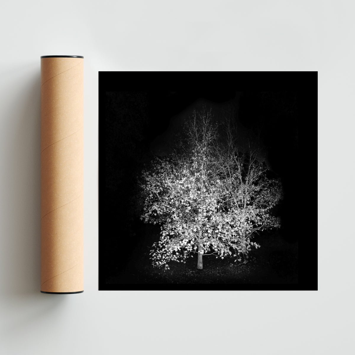 Noche de otoño. - Cuadrado solo print