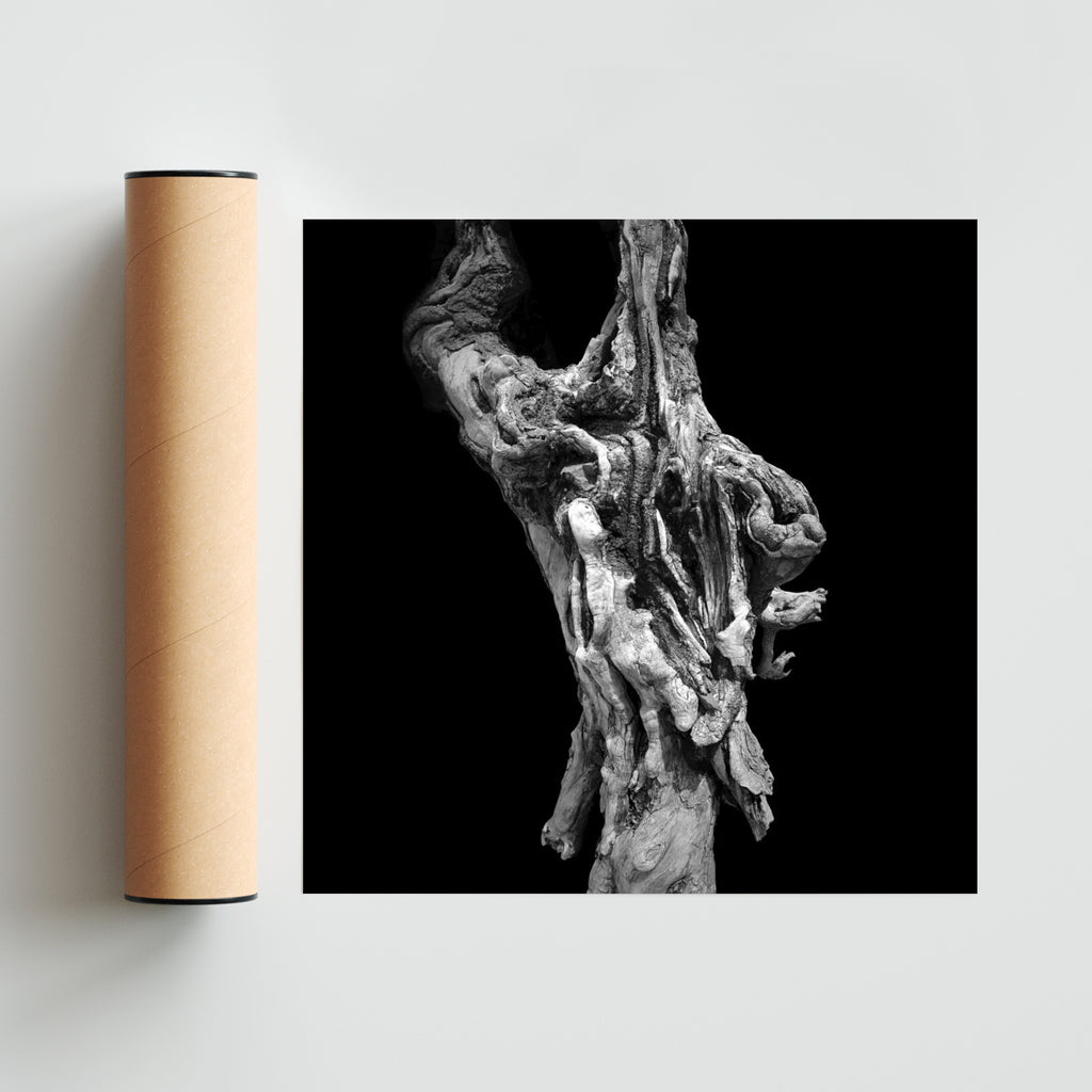 Cargar. - Cuadrado solo print