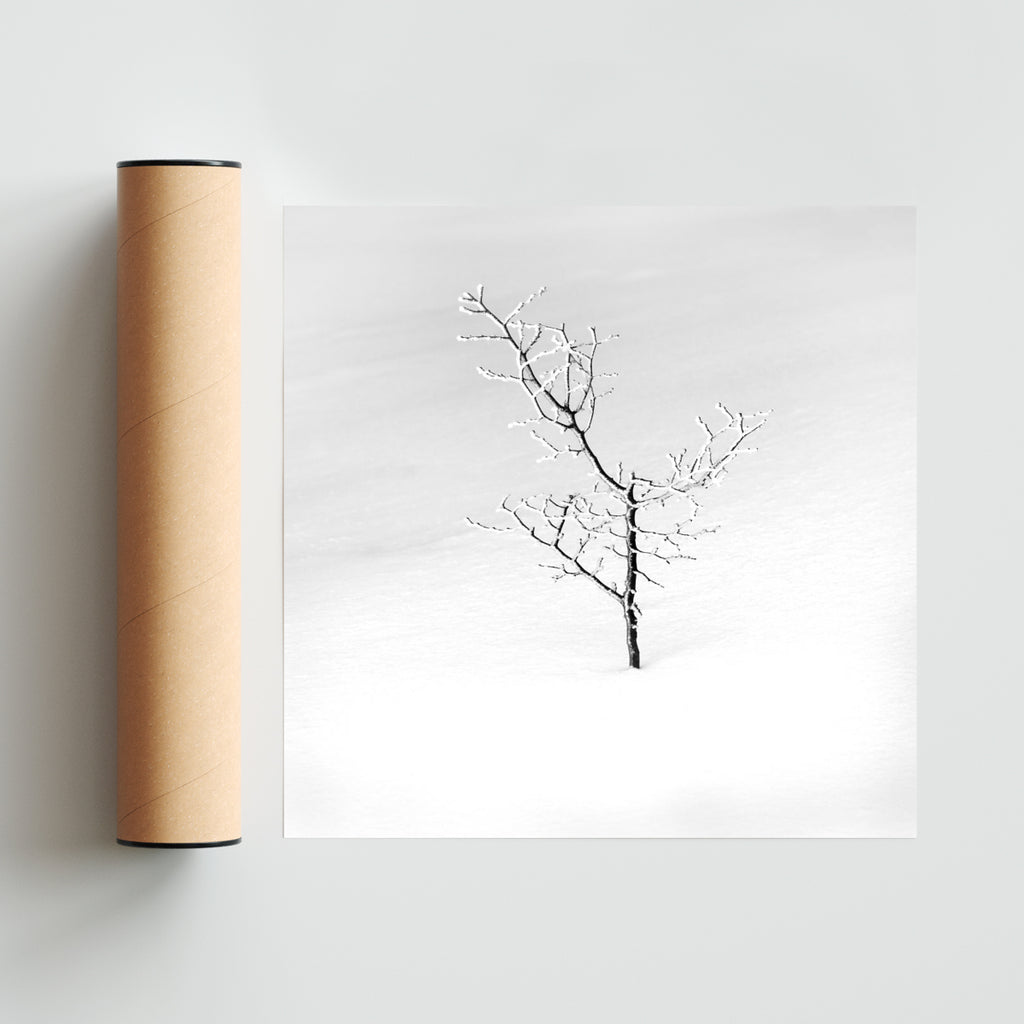 Solita. - Cuadrado solo print