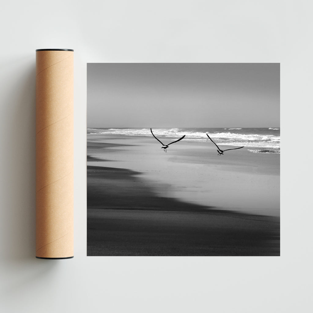 Vientos de libertad. - Cuadrado solo print