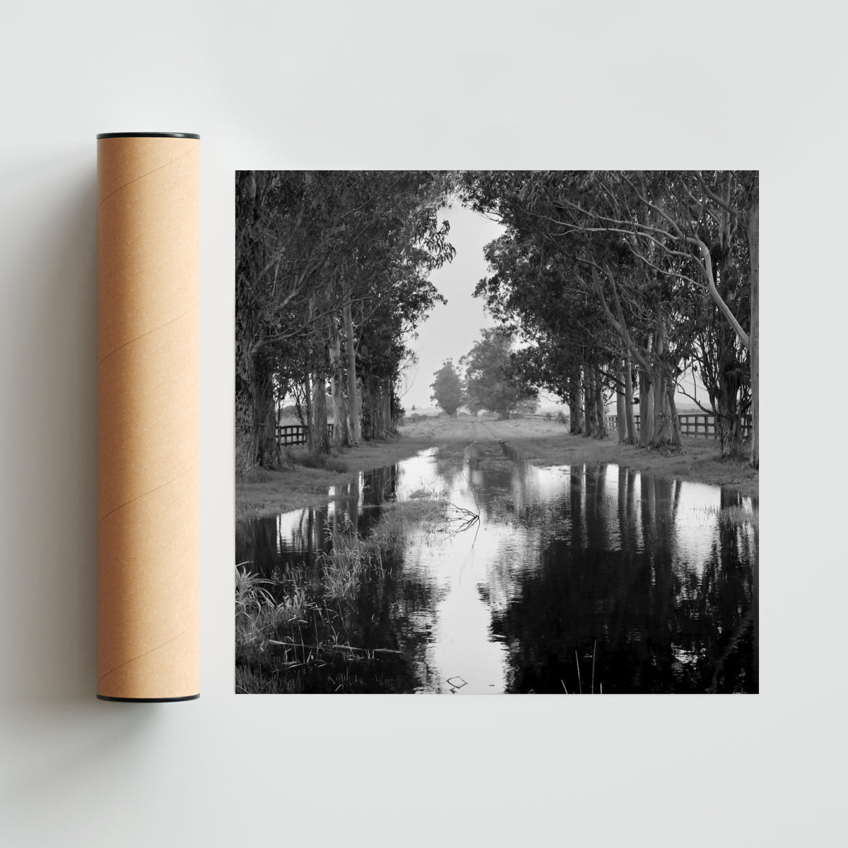Reflejos del cielo. - Cuadrado solo print