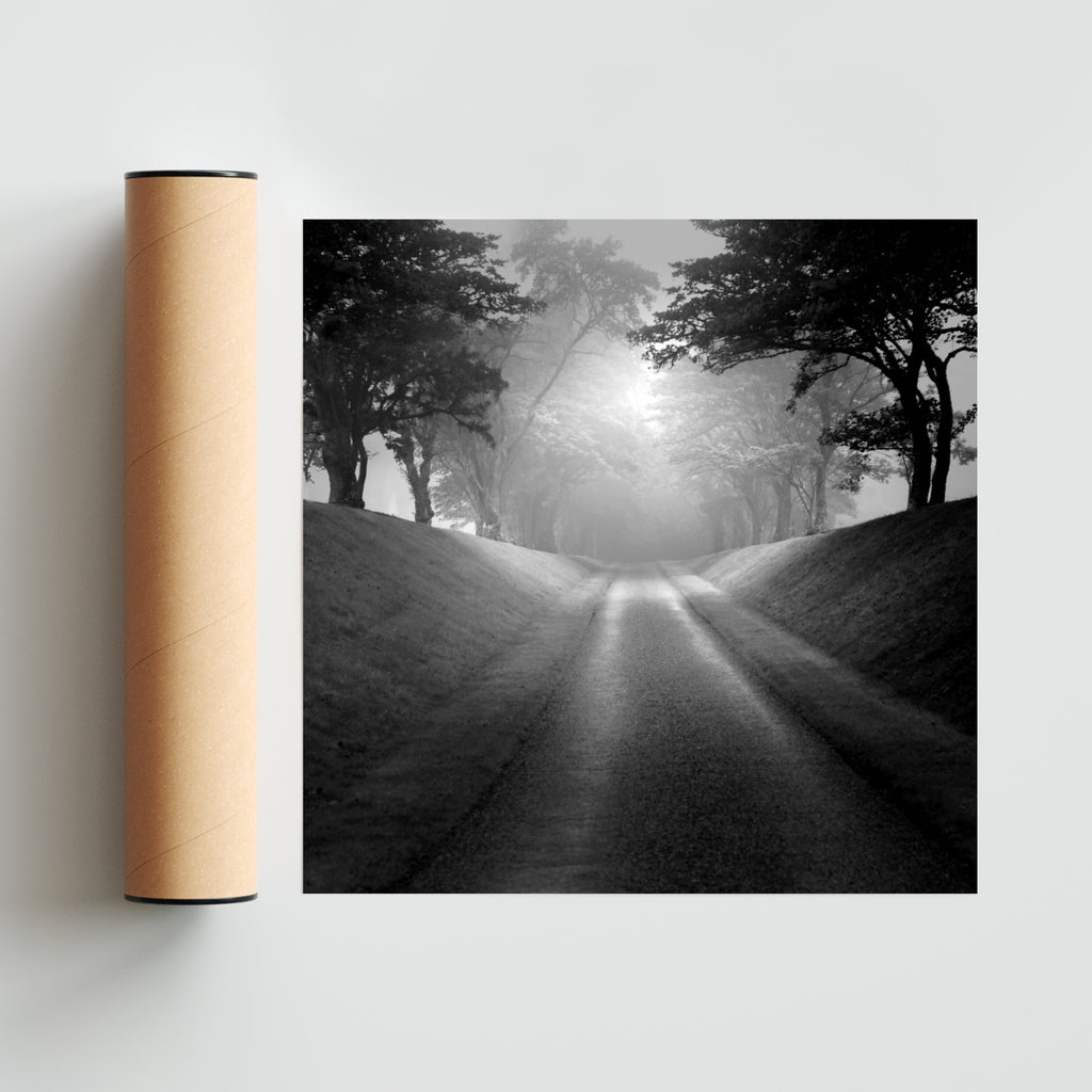 Memorias de un camino. - Cuadrado solo print