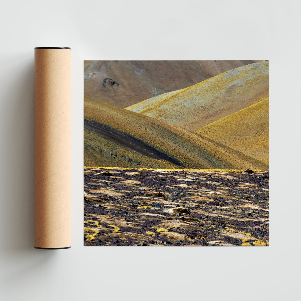 Los Seismiles - composición 4 - Cuadrado solo print