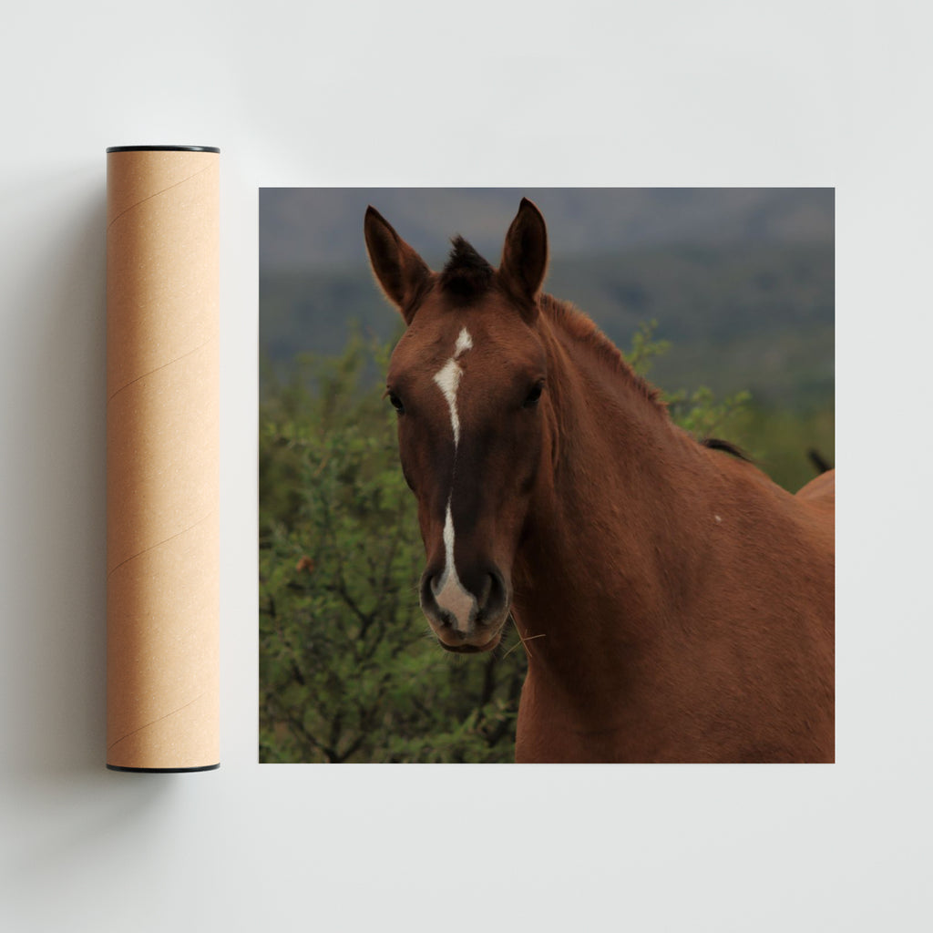 La Chinita - Cuadrado solo print