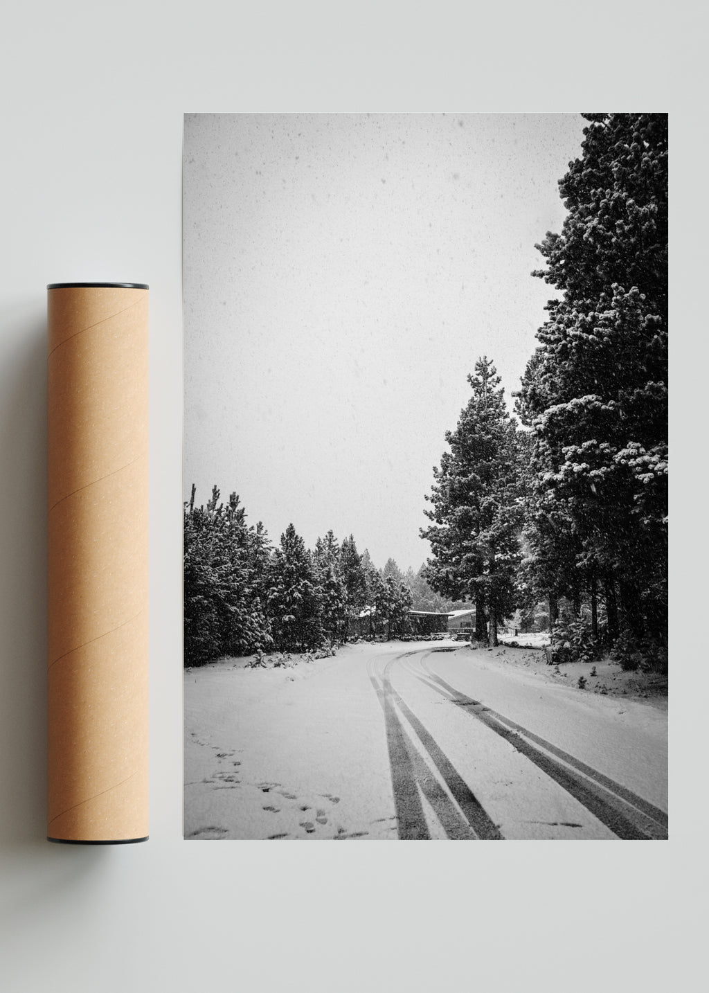 Invierno Patagónico - FotoV Solo print