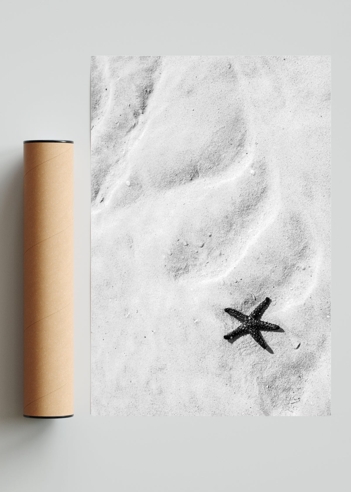 Estrella de mar (B&N) - FotoV Solo print