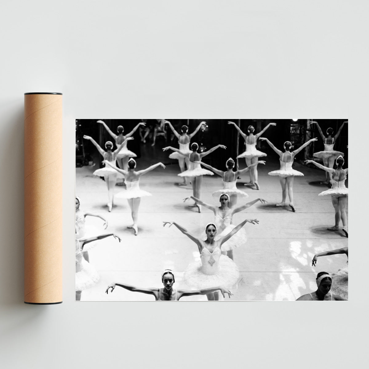 Lago de los Cisnes - FotoH solo print