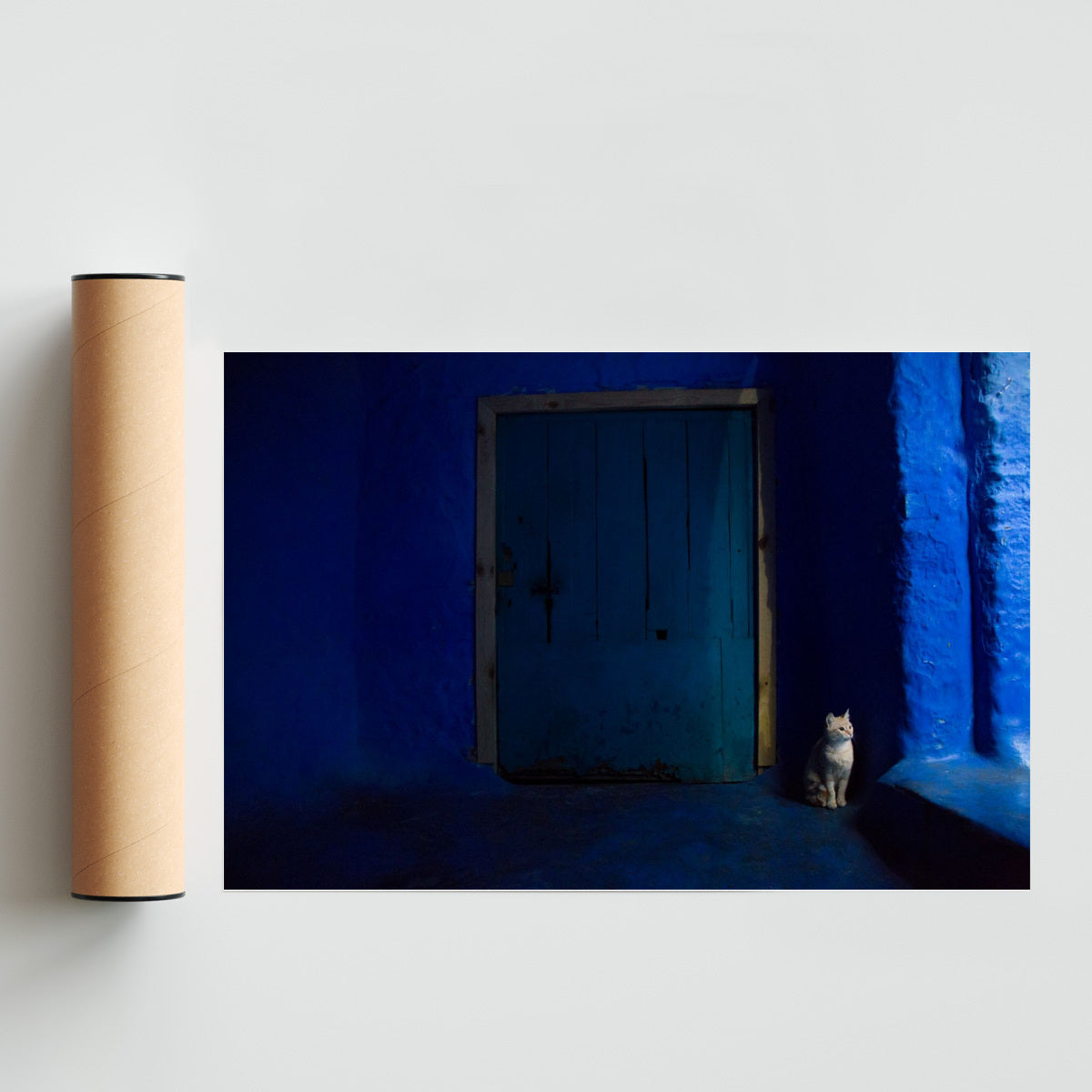 Gato en Blue - FotoH solo print