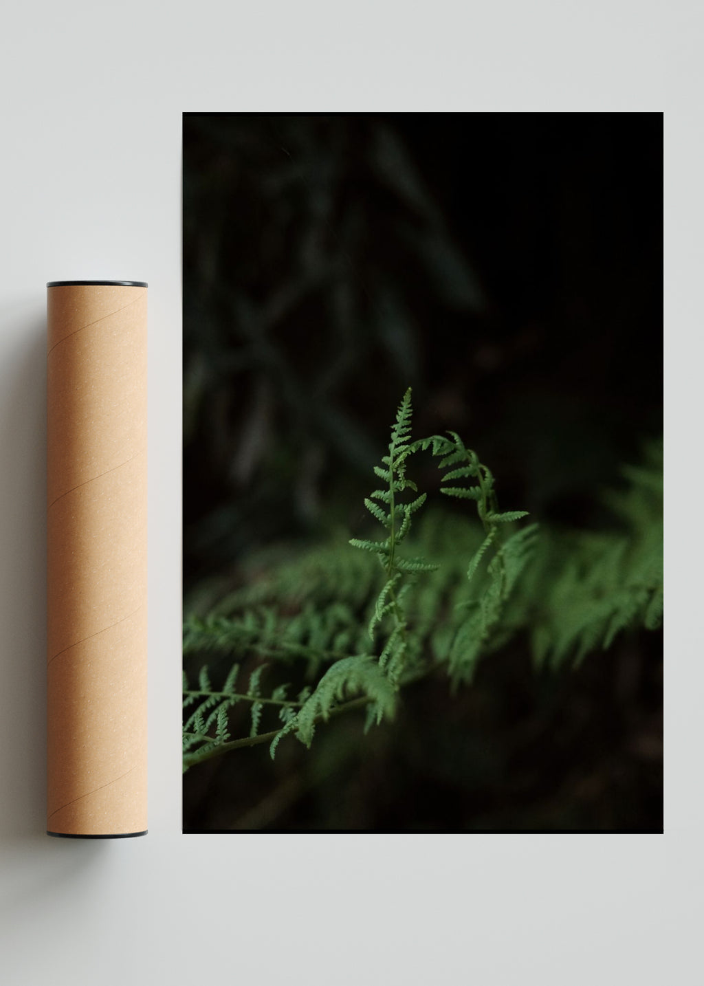 Monte - FotoV Solo print