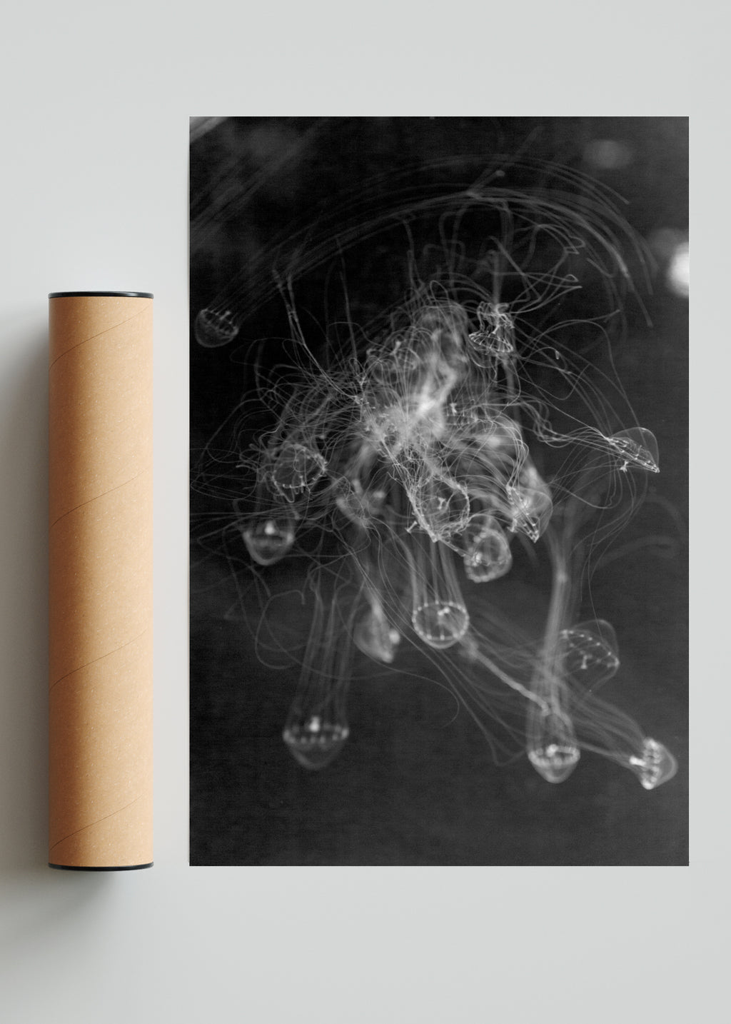 MEDUSAS - FotoV Solo print