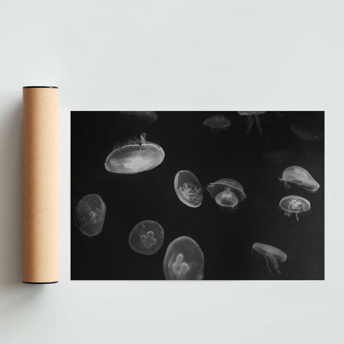 COSMOS - FotoH solo print