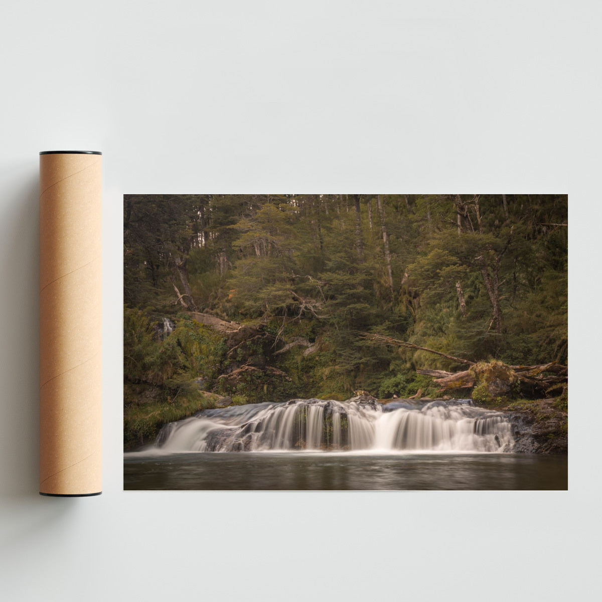La Forma del Agua - FotoH solo print