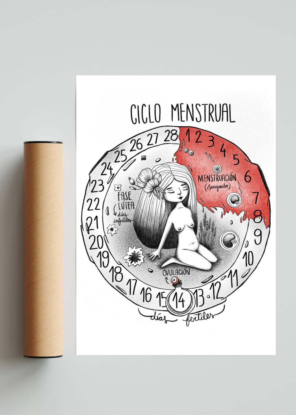Ciclo menstrual - Retrato solo print