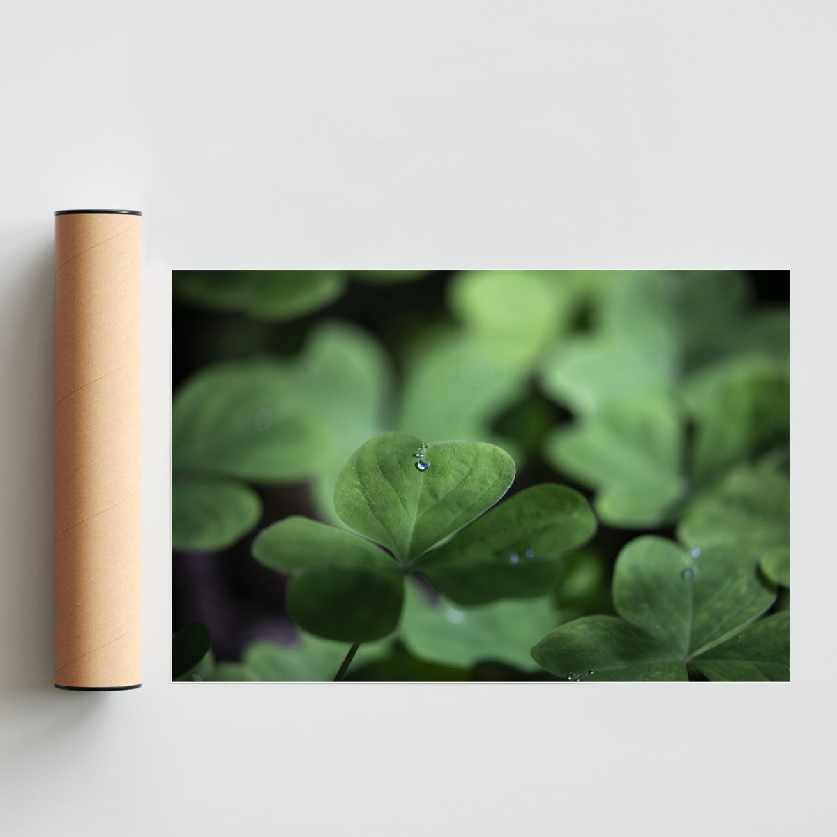 Gota de Rocío con suerte - FotoH solo print