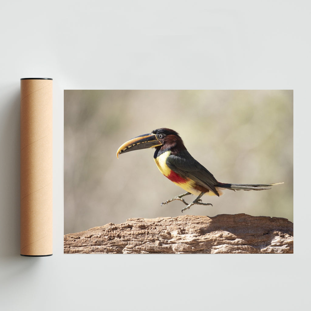 El salto del Arasari Fajado - Paisaje Solo print