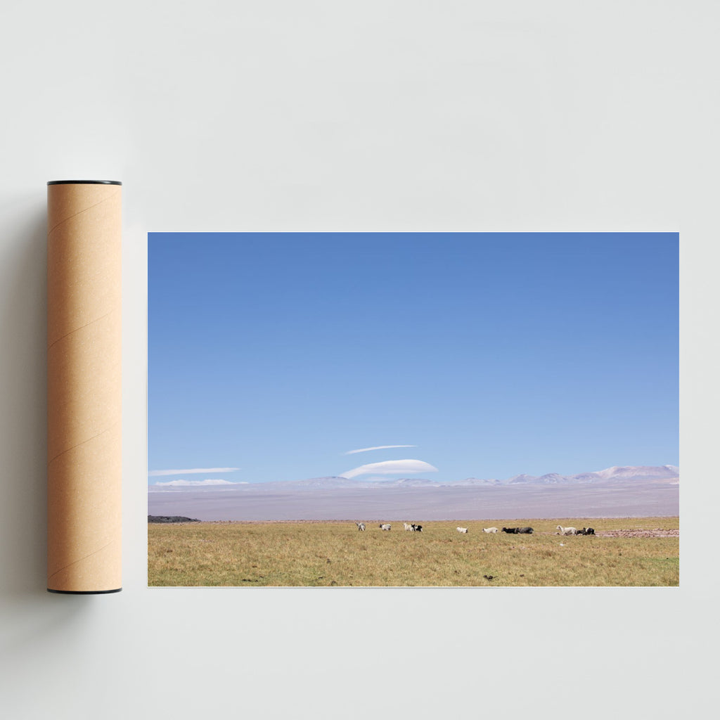 Rebaño en la altura - FotoH solo print