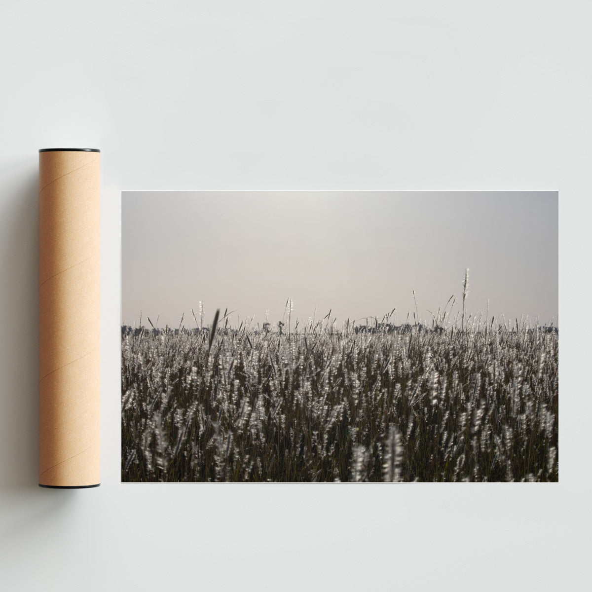 Pastizal Pampeano - FotoH solo print