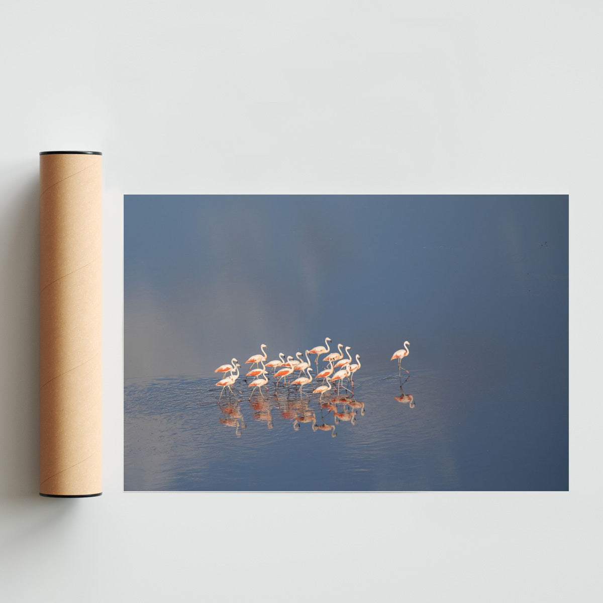 Flamencos Aerea horizontal - FotoH solo print