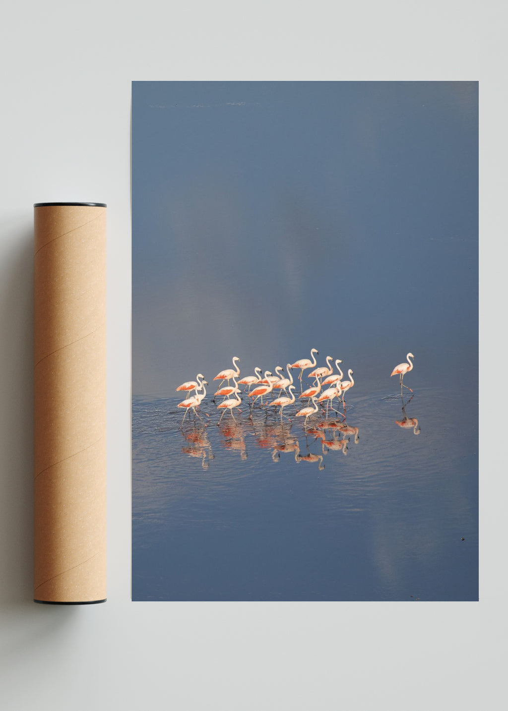 Flamencos aerea Vertical - FotoV Solo print