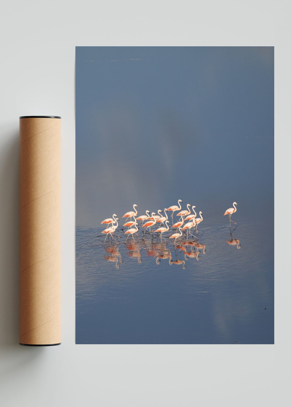 Flamencos aerea Vertical - FotoV Solo print