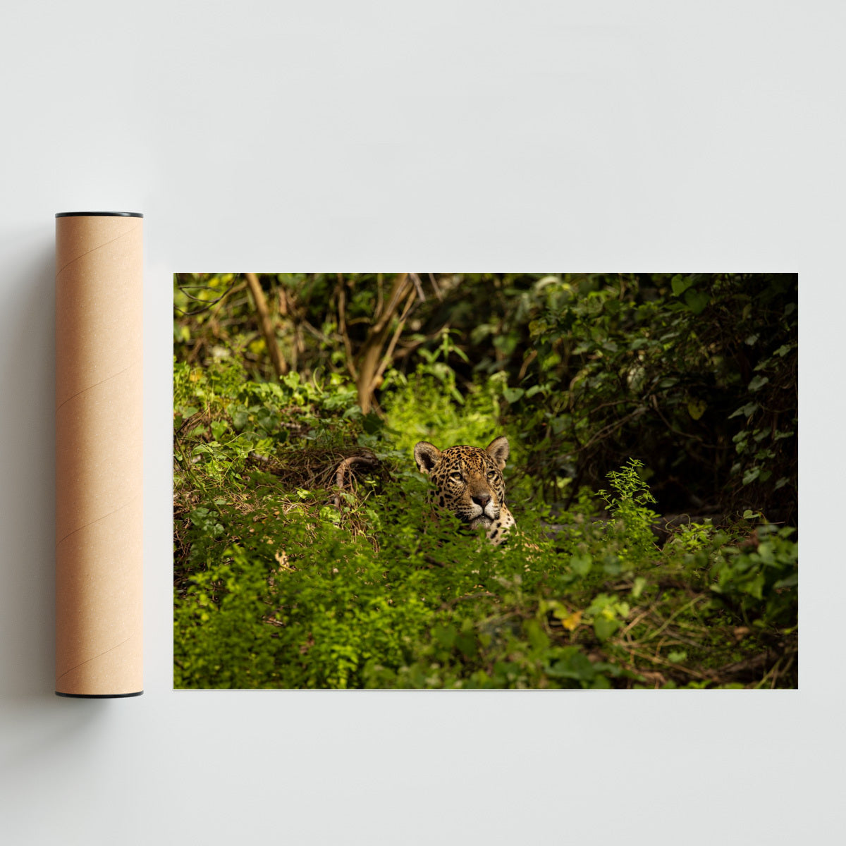 Esas miradas que matan - FotoH solo print