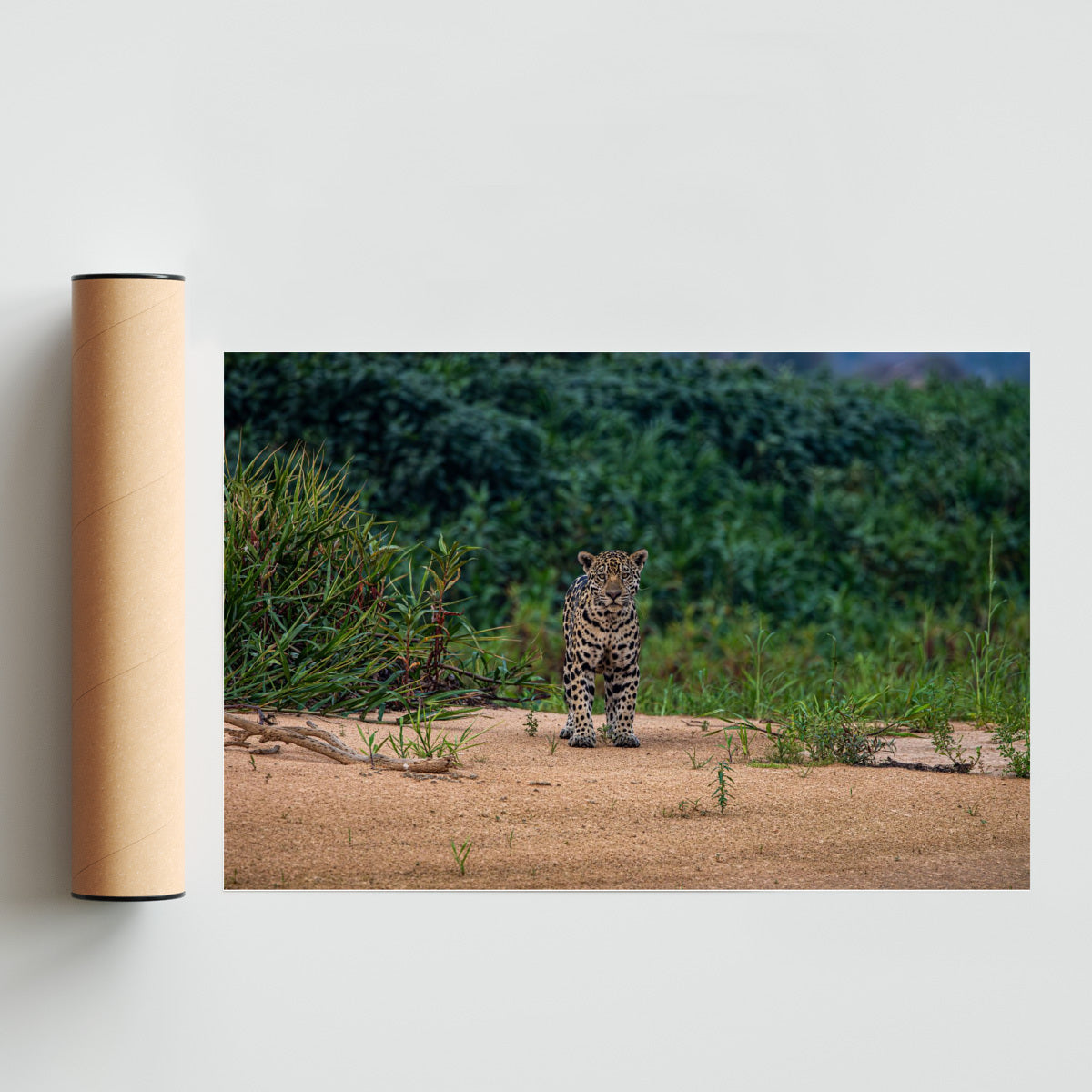 Yaguarete con actitud - FotoH solo print