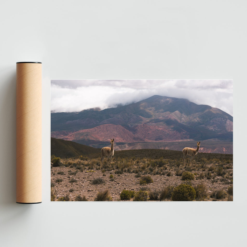 Hermanas Unidas - FotoH solo print