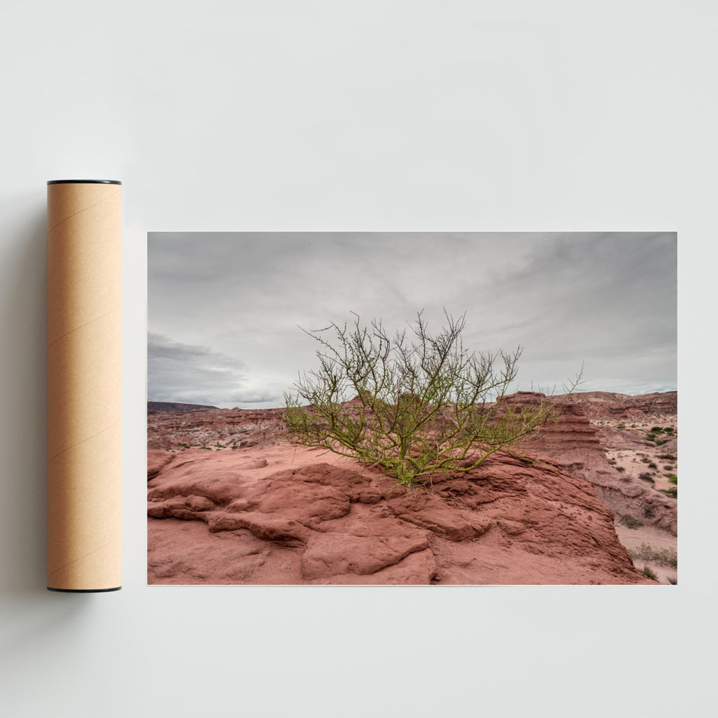 Reinventarse - FotoH solo print