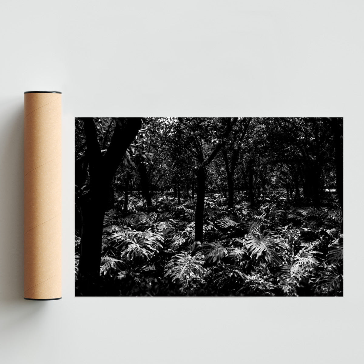 Jardines Reales - FotoH solo print
