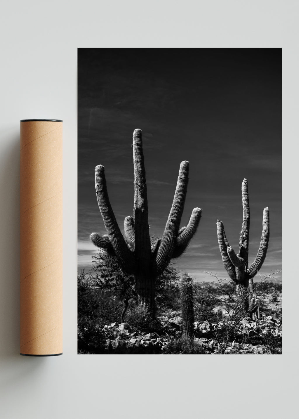 Manos Jujeñas - FotoV Solo print