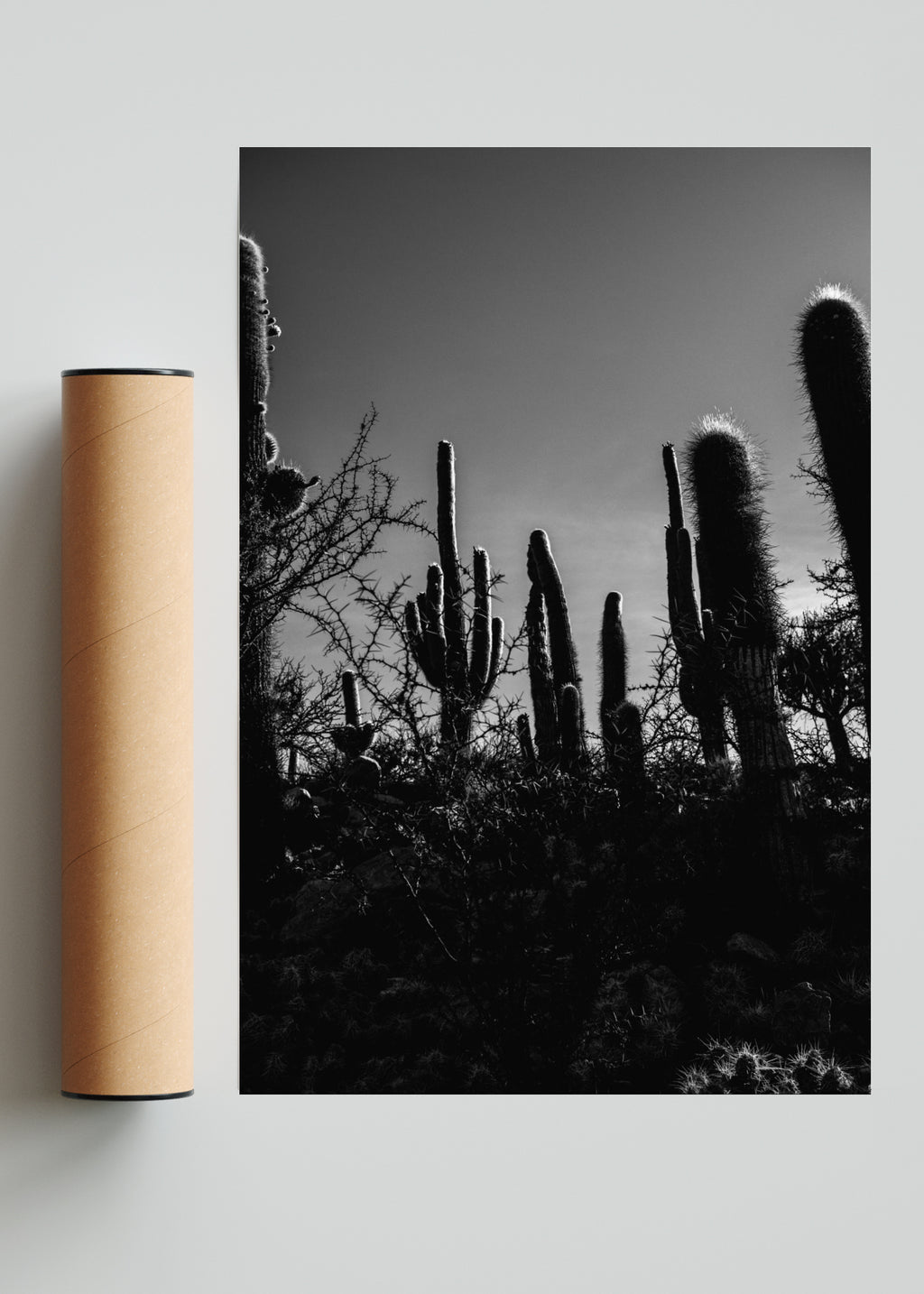 Centinelas - FotoV Solo print