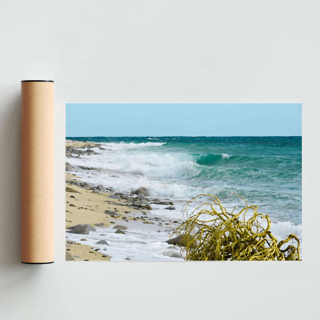 Puro virgen - FotoH solo print