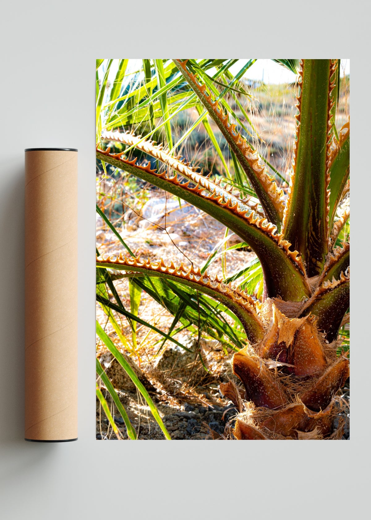 Vibrante palmera de vida - FotoV Solo print