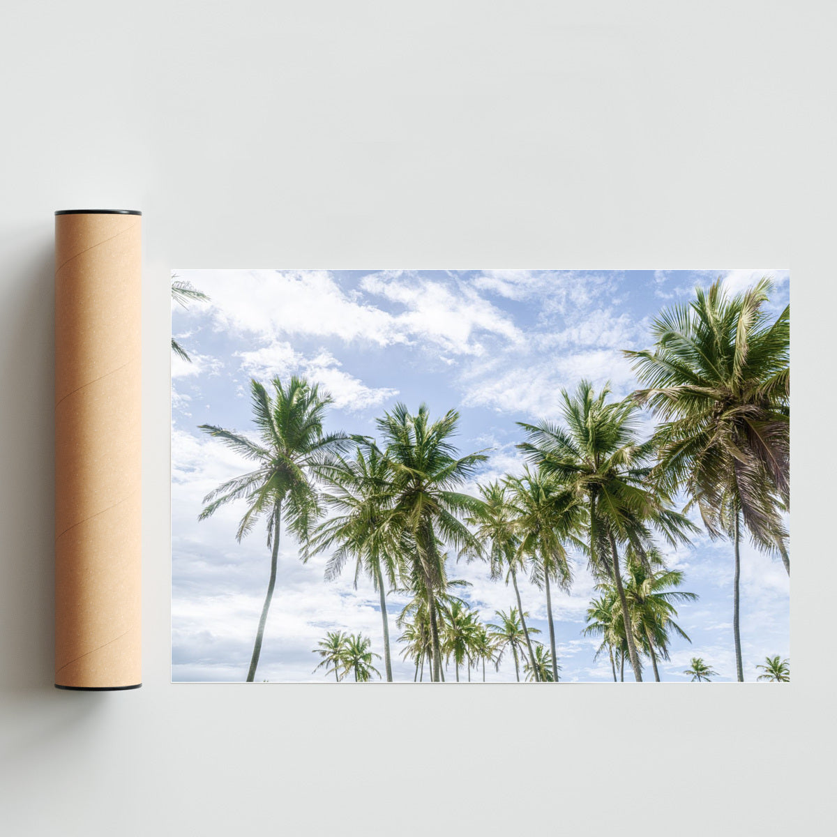 Tropico de cielos y palmas - FotoH solo print