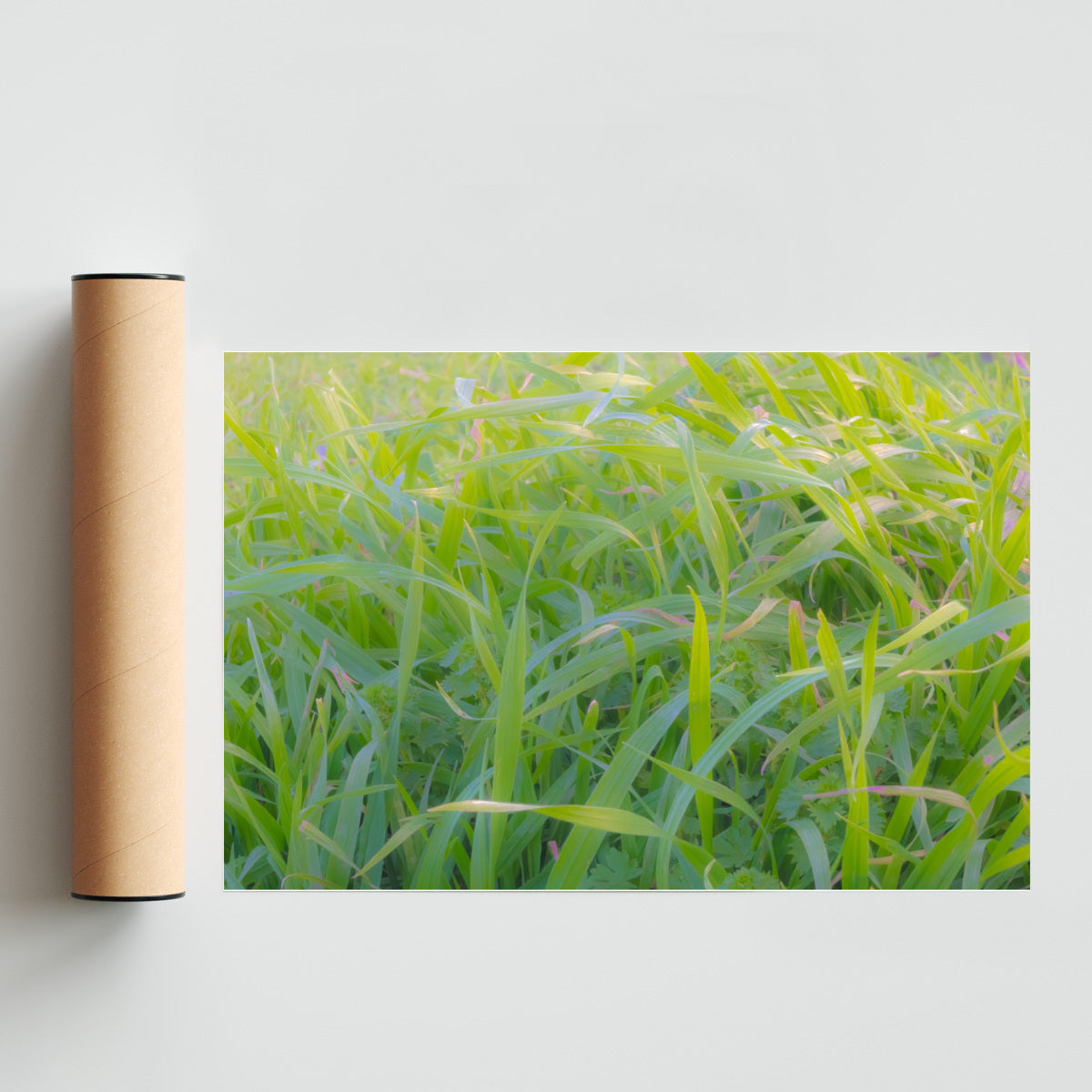 Susurro de Vida - FotoH solo print