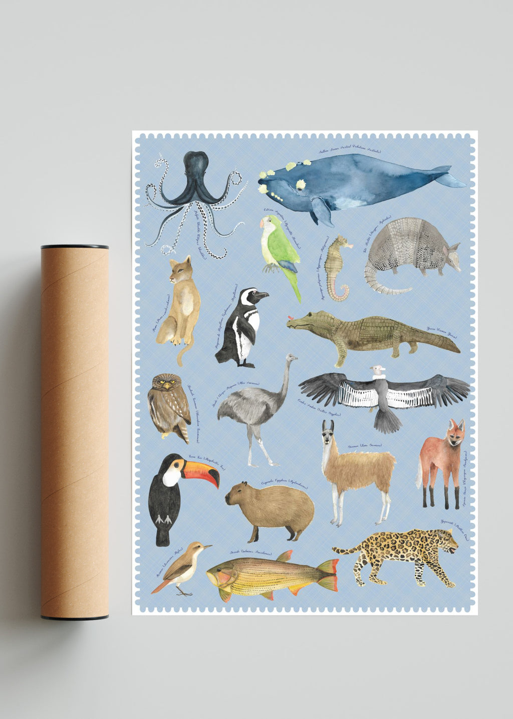 "Postales del Fin del Mundo" - Fauna Argentina - Retrato solo print