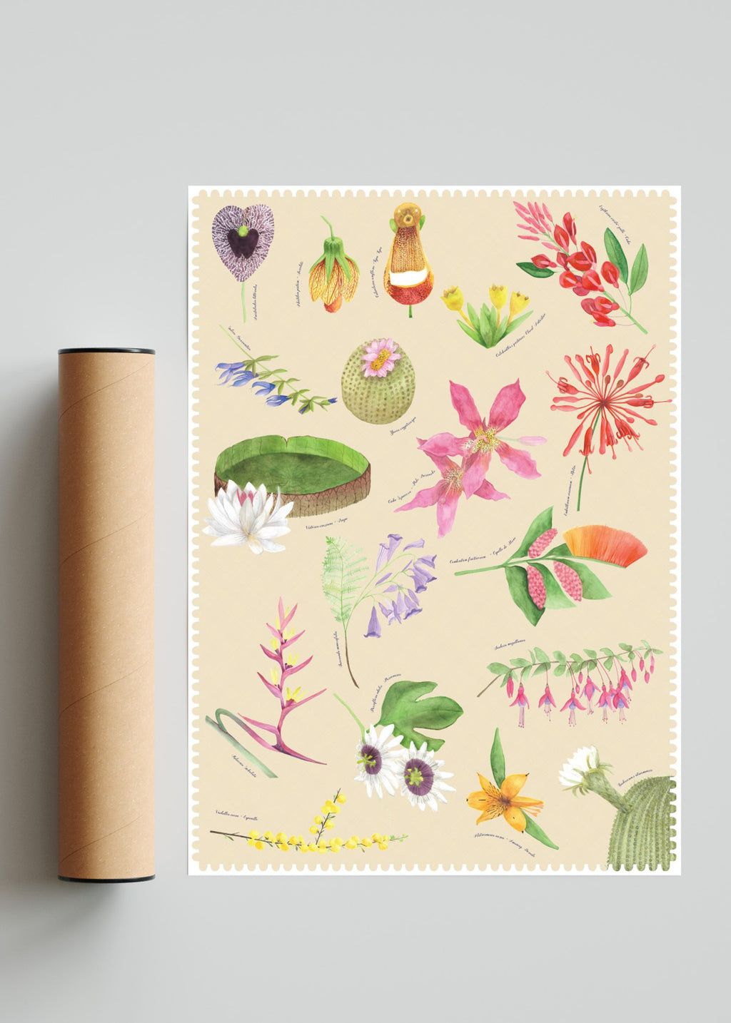 "Postales del Fin del Mundo" - Flora - Retrato solo print