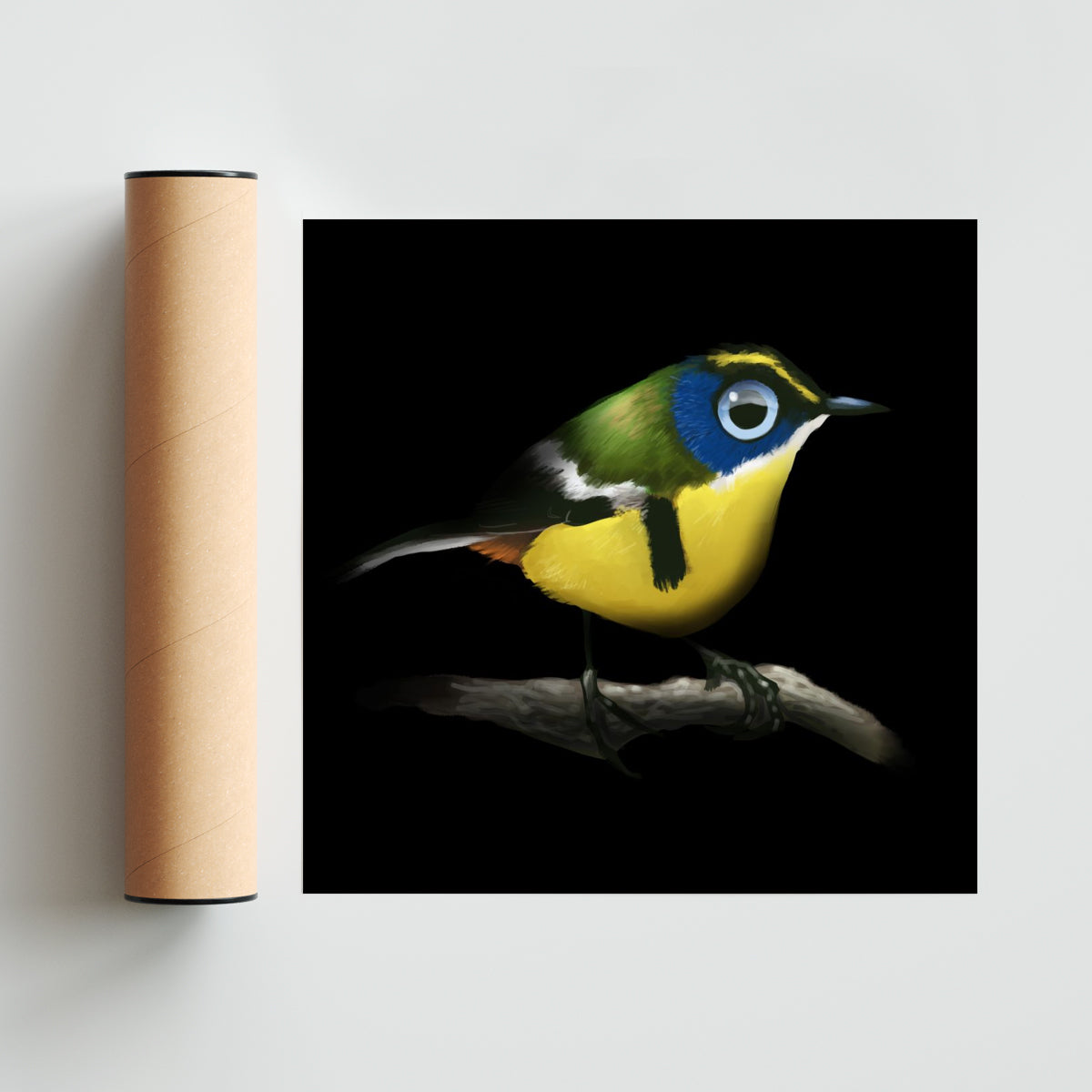 Sietecolores - Cuadrado solo print