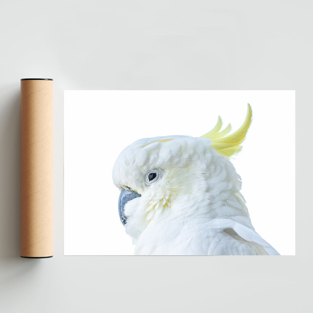The Cockatoo - Paisaje Solo print