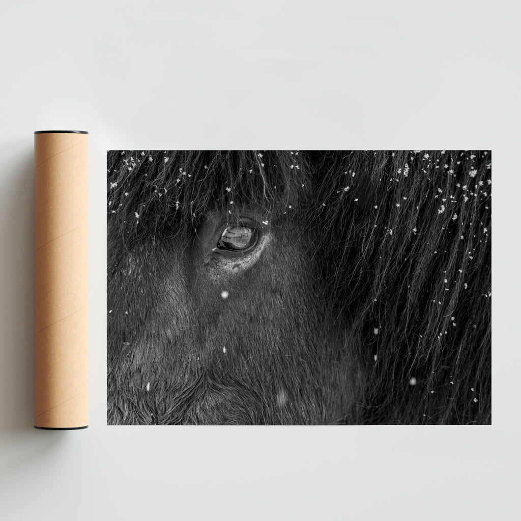 Black and White - Paisaje Solo print