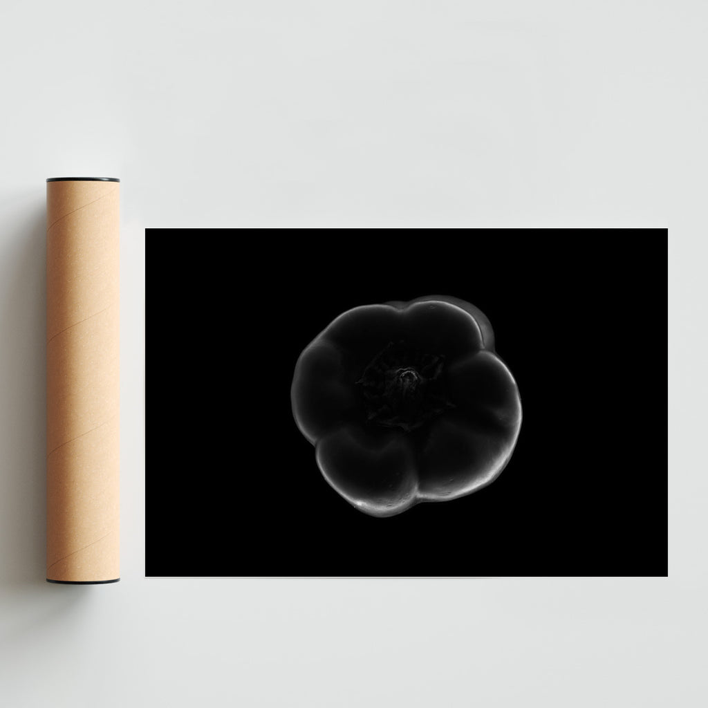 Black and white bell pepper - FotoH solo print