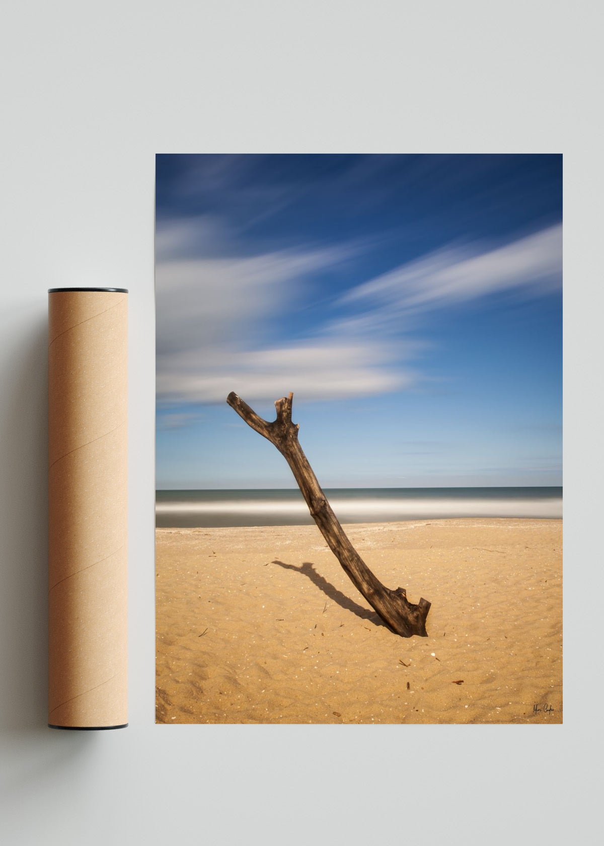 TRONCO NA AREIA - Retrato solo print