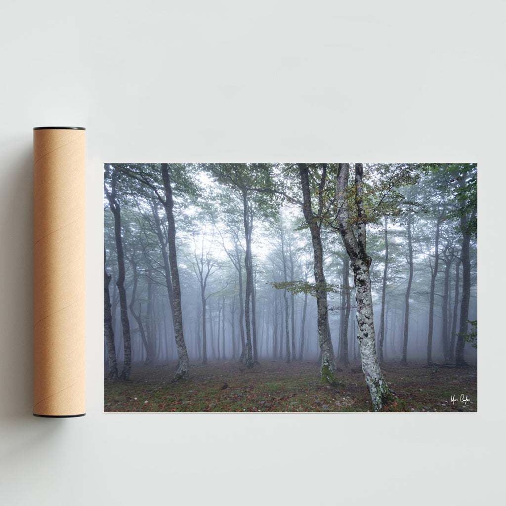 POR ALGUM BOSQUE NA FRANÇA - FotoH solo print