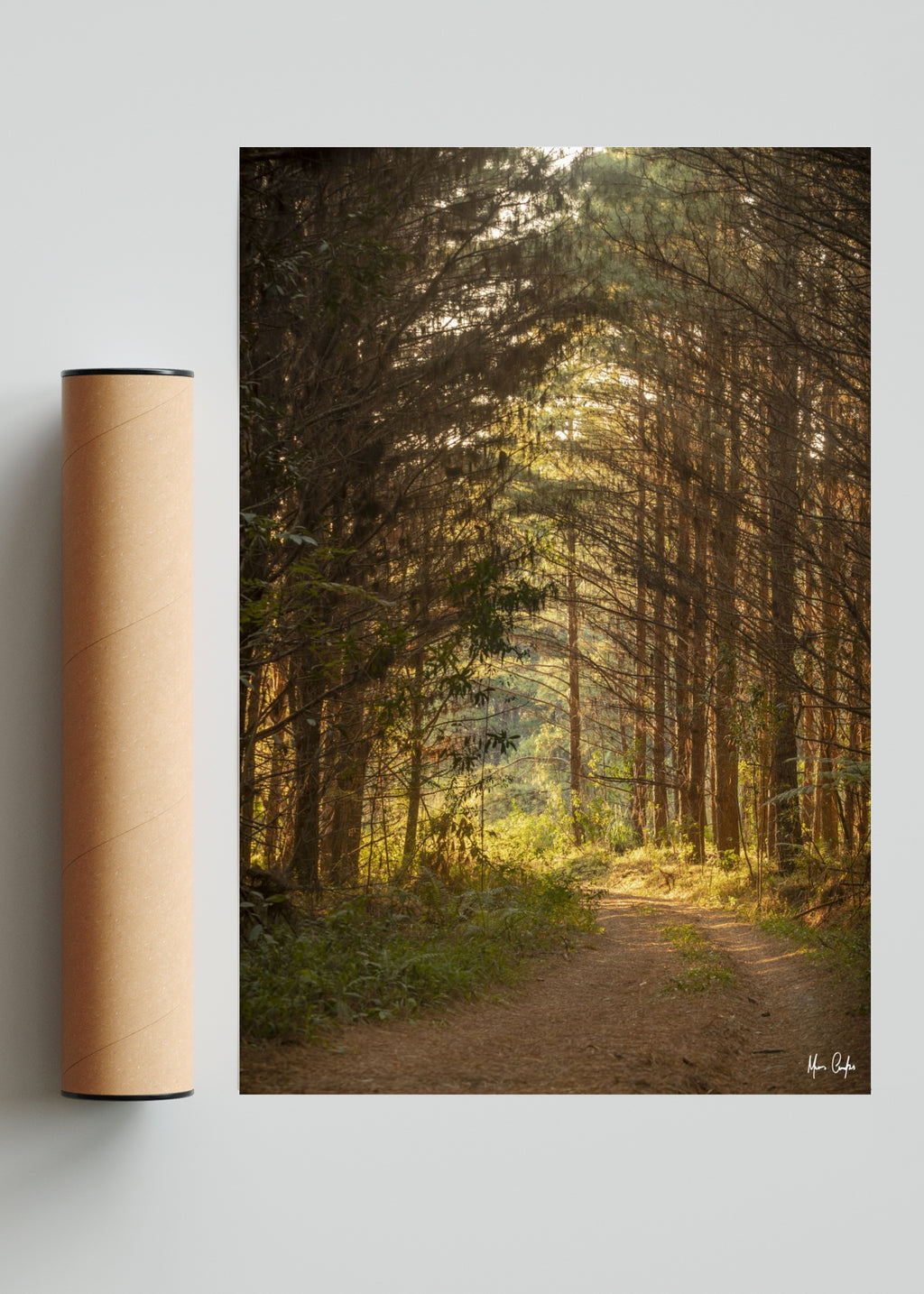 CAMINO DE VIDA - FotoV Solo print